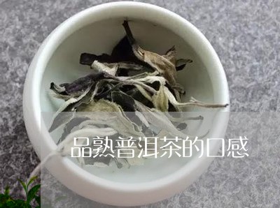 品熟普洱茶的口感/2023031719373