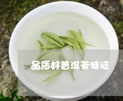 品质好普洱茶特征/2023031727292