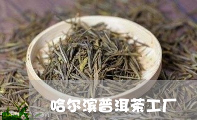 哈尔滨普洱茶工厂/2023041183824