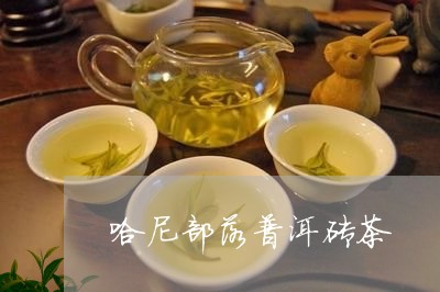 哈尼部落普洱砖茶/2023032980583