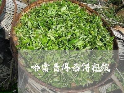 哈雷普洱茶饼视频/2023041037193