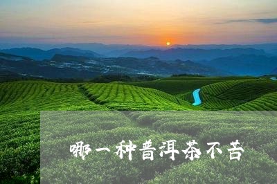 哪一种普洱茶不苦/2023041349594