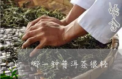 哪一种普洱茶很轻/2023041146429