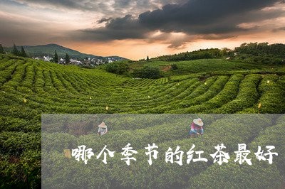 哪个季节的红茶最好/2023031849592