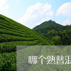 哪个熟普洱茶好喝/2023031806938