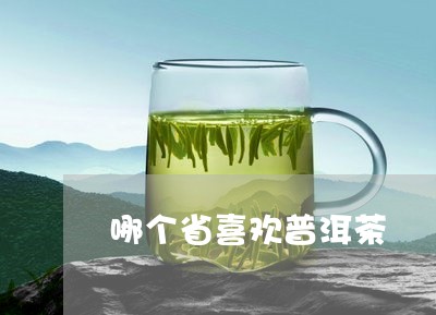 哪个省喜欢普洱茶/2023041053926