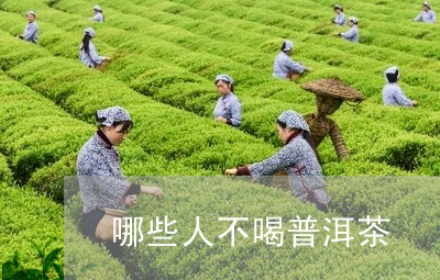 哪些人不喝普洱茶/2023033004747