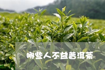 哪些人不益普洱茶/2023033138402