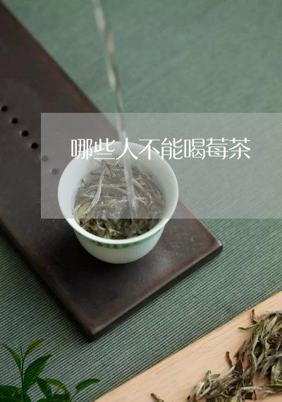 哪些人不能喝莓茶/2023032212605