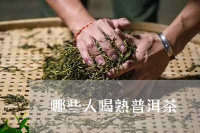 哪些人喝熟普洱茶/2023033091827