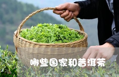 哪些国家和普洱茶/2023040949160