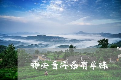 哪些普洱茶有单株/2023031791647