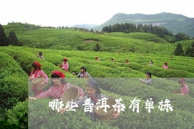 哪些普洱茶有单株/2023041200625