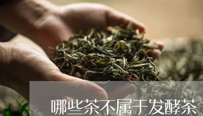 哪些茶不属于发酵茶/2023041588469