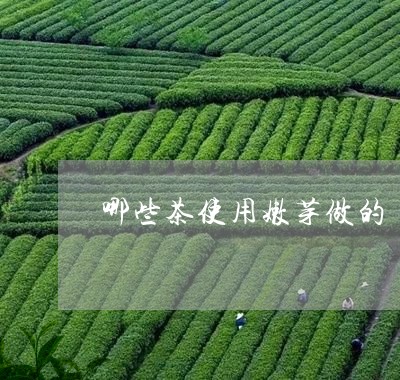 哪些茶使用嫩芽做的/2023031948671