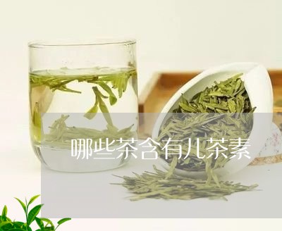 哪些茶含有儿茶素/2023032475038