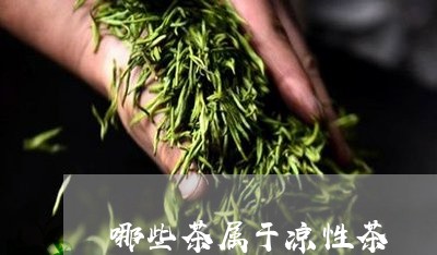 哪些茶属于凉性茶/2023032411705