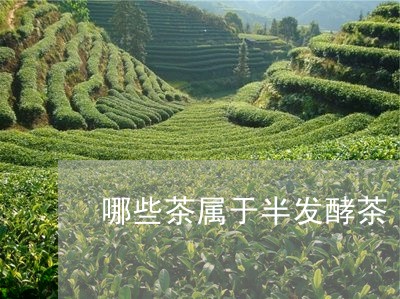 哪些茶属于半发酵茶/2023031918248