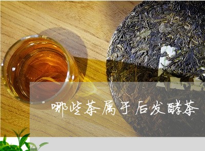 哪些茶属于后发酵茶/2023041538481