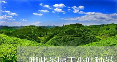 哪些茶属于小叶种茶/2023031973938