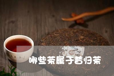 哪些茶属于昔归茶/2023032624916