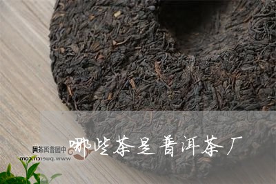 哪些茶是普洱茶厂/2023041005268