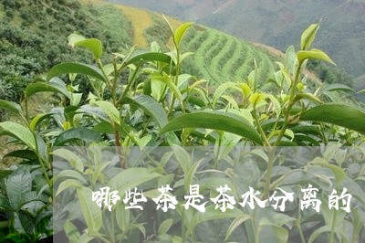 哪些茶是茶水分离的/2023041538462