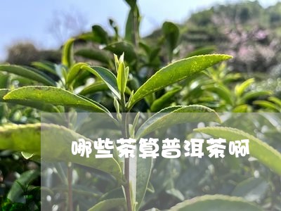 哪些茶算普洱茶啊/2023041227170