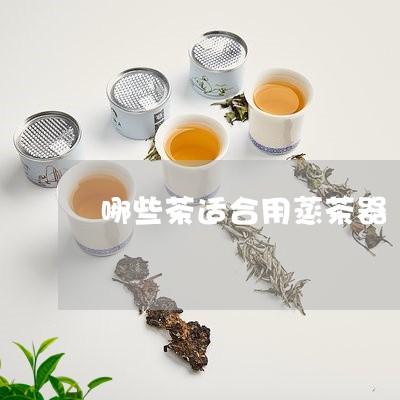 哪些茶适合用蒸茶器/2023041522417