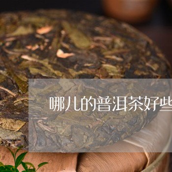 哪儿的普洱茶好些/2023041340402