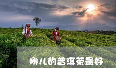 哪儿的普洱茶最好/2023041338372