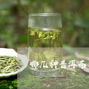 哪几种普洱茶要煮/2023033102728