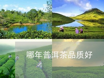 哪年普洱茶品质好/2023041226059