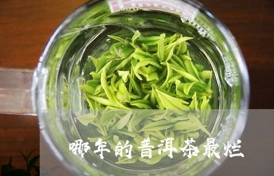 哪年的普洱茶最烂/2023040139372