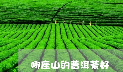 哪座山的普洱茶好/2023033149259