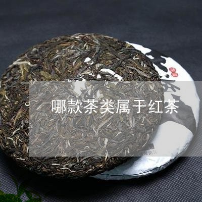 哪款茶类属于红茶/2023032404258