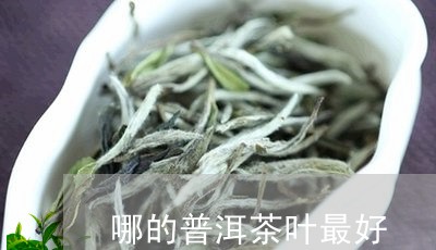 哪的普洱茶叶最好/2023041357170