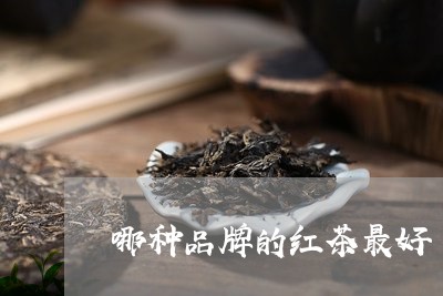 哪种品牌的红茶最好/2023031897490