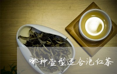 哪种壶型适合泡红茶/2023041591606