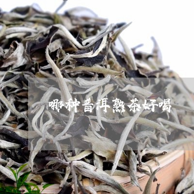 哪种普洱熟茶好喝/2023031868606