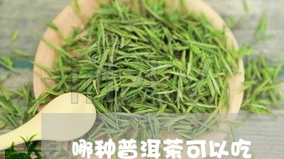 哪种普洱茶可以吃/2023031712827