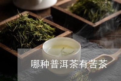 哪种普洱茶有苦茶/2023041106279