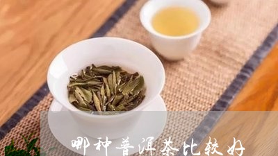 哪种普洱茶比较好/2023031804926