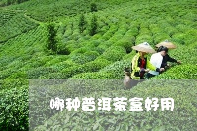 哪种普洱茶盒好用/2023041034147