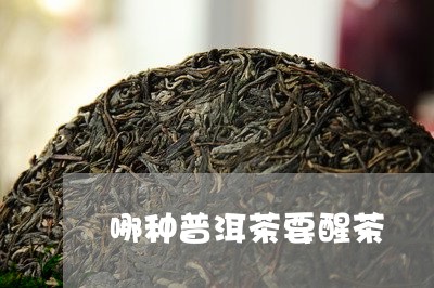 哪种普洱茶要醒茶/2023041197259