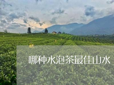 哪种水泡茶最佳山水/2023041615059