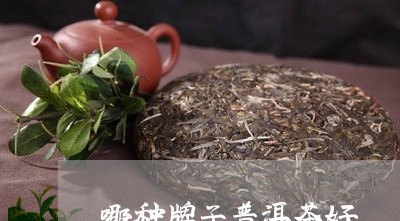 哪种牌子普洱茶好/2023041330382