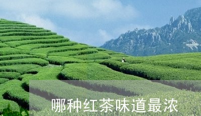 哪种红茶味道最浓/2023032324058