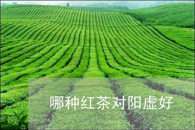 哪种红茶对阳虚好/2023032393826