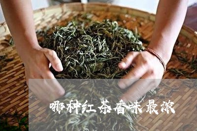 哪种红茶香味最浓/2023032327159